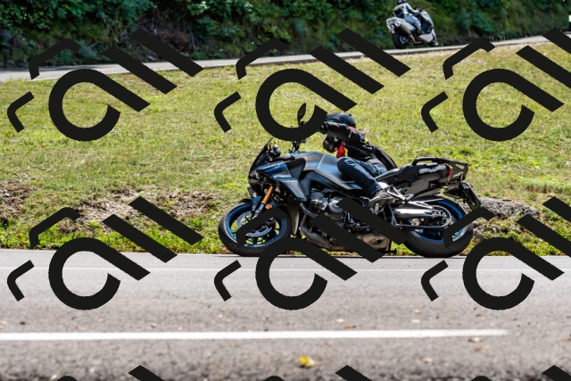 202508311344-_DSC7034_d2_