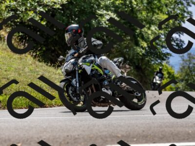 202508311344-_DSC7039_d2_