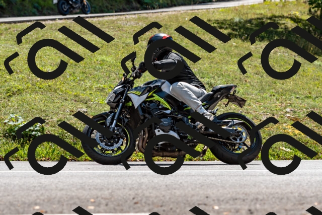 202508311344-_DSC7042_d2_