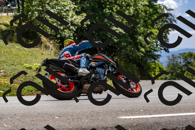 202508311345-_DSC7057_d2_