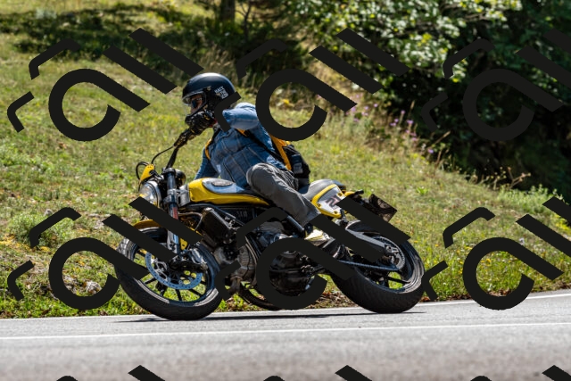 202508311346-_DSC7068_d2_