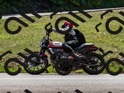 202508311346-_DSC7071_d2_