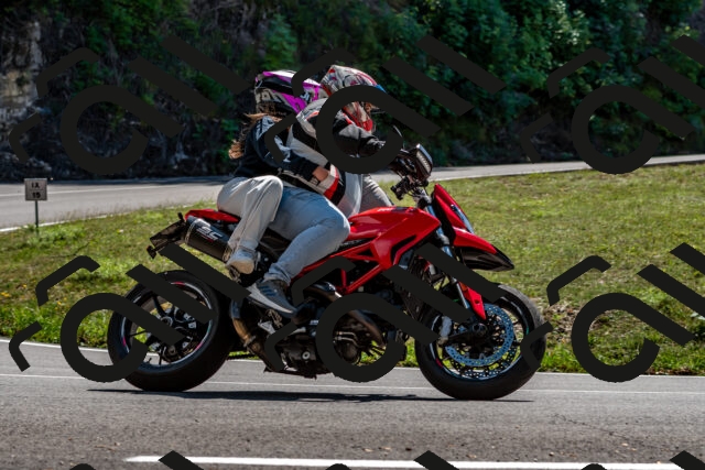 202508311349-_DSC7082_d2_