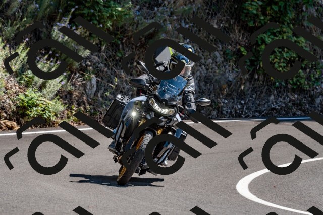 202508311350-_DSC7084_d2_