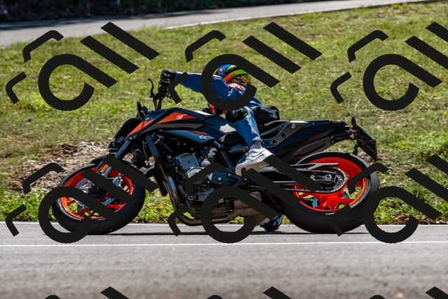 202508311351-_DSC7094_d2_