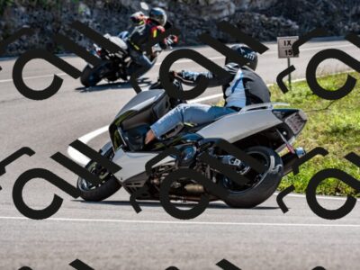 202508311351-_DSC7098_d2_