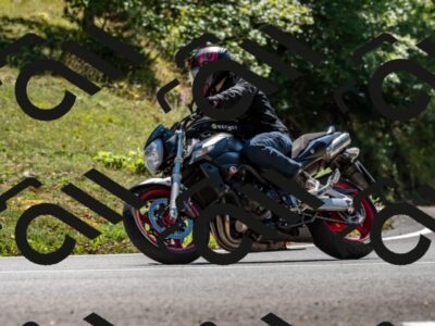 202508311355-_DSC7118_d2_