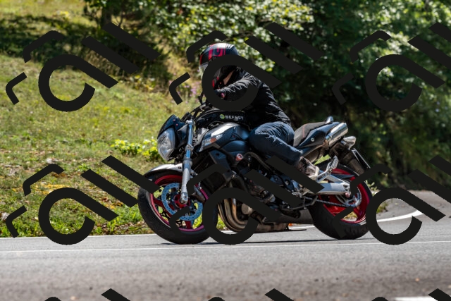 202508311355-_DSC7118_d2_