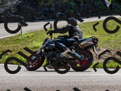 202508311355-_DSC7119_d2_