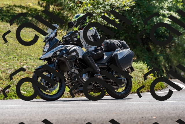 202508311357-_DSC7121_d2_