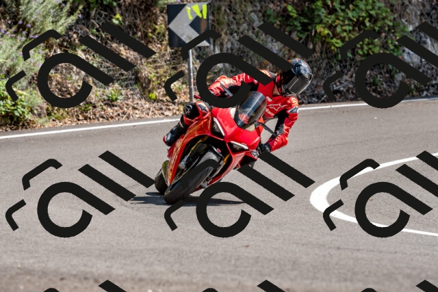 202508311412-_DSC7161_d2_