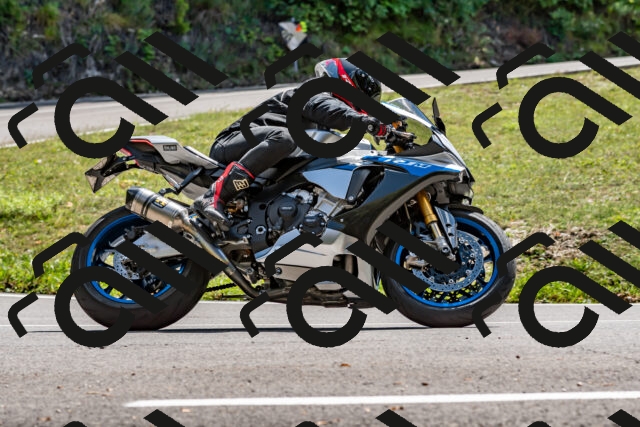 202508311412-_DSC7164_d2_