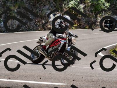 202508311420-_DSC7181_d2_