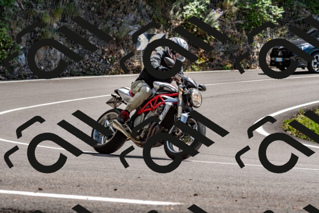 202508311420-_DSC7181_d2_