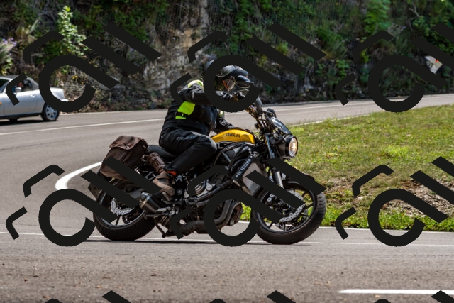 202508311420-_DSC7183_d2_