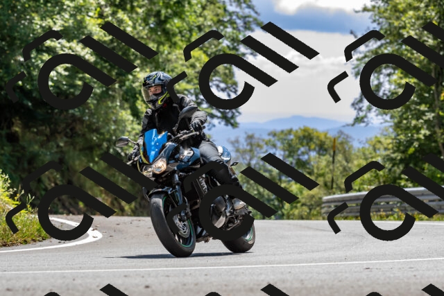 202508311421-_DSC7192_d2_