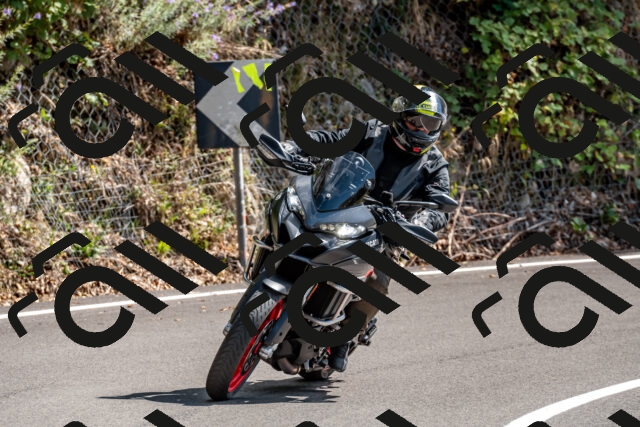 202508311422-_DSC7195_d2_