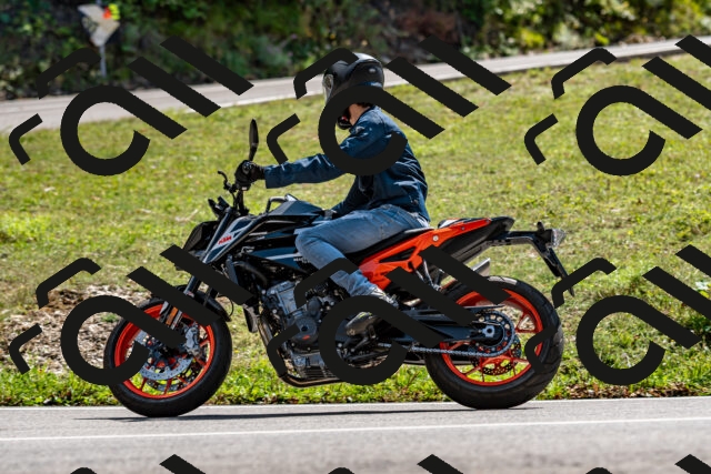 202508311433-_DSC7228_d2_