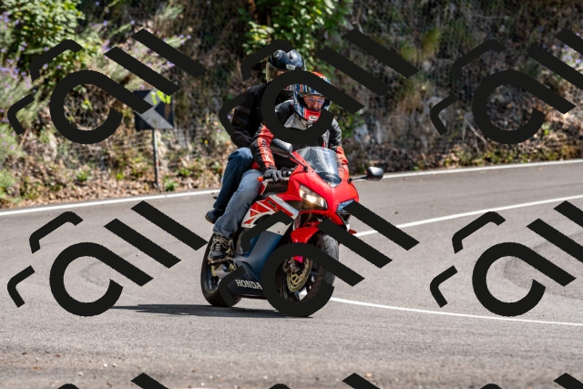 202508311434-_DSC7231_d2_