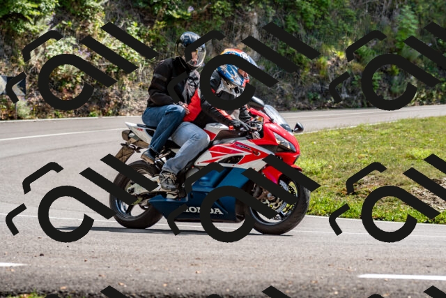 202508311434-_DSC7232_d2_