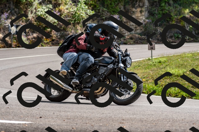 202508311436-_DSC7234_d2_