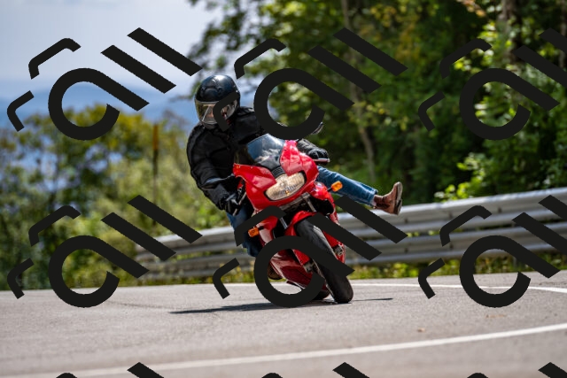 202508311439-_DSC7236_d2_