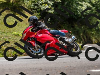 202508311439-_DSC7238_d2_