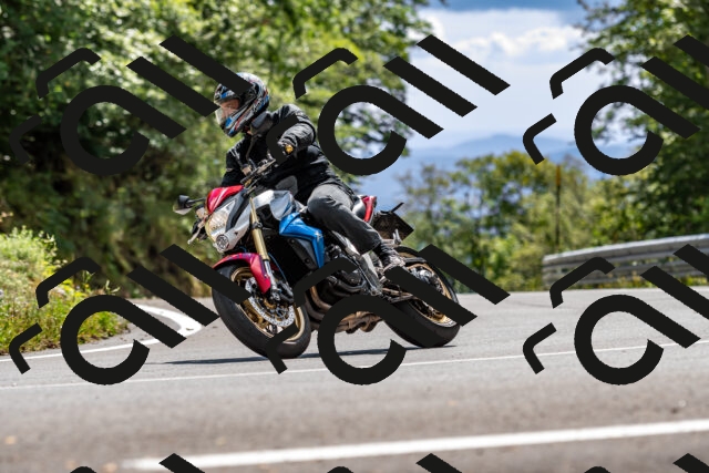 202508311443-_DSC7242_d2_