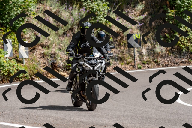 202508311444-_DSC7255_d2_