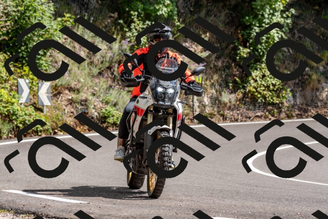 202508311444-_DSC7258_d2_