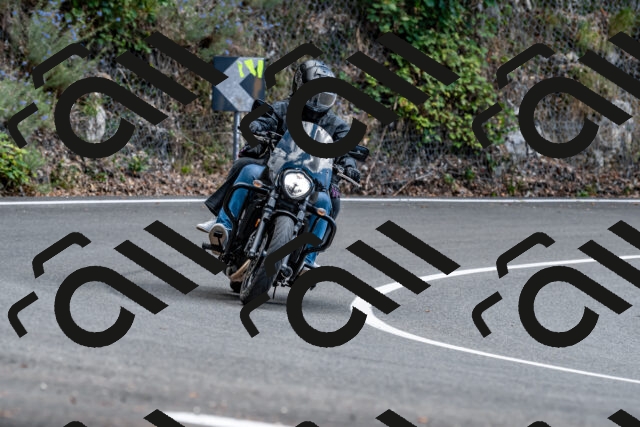 202508311446-_DSC7261_d2_