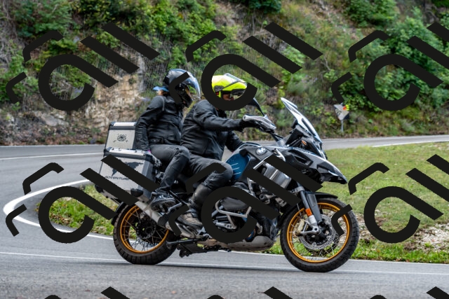 202508311446-_DSC7266_d2_