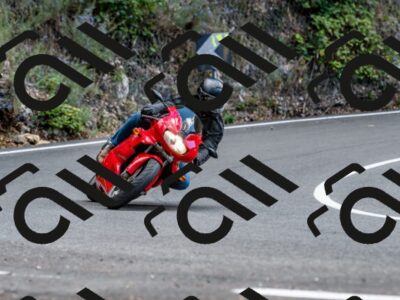 202508311447-_DSC7268_d2_