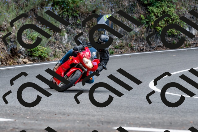 202508311447-_DSC7268_d2_