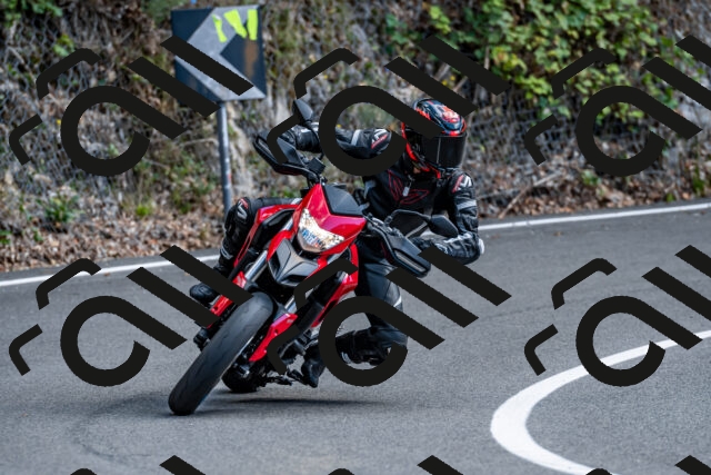 202508311451-_DSC7307_d2_