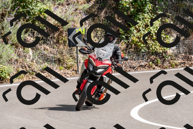 202508311454-_DSC7311_d2_