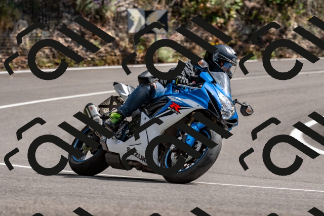 202508311454-_DSC7315_d2_