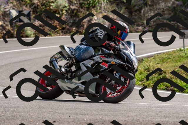 202508311454-_DSC7317_d2_