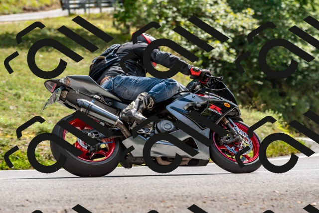 202508311454-_DSC7319_d2_