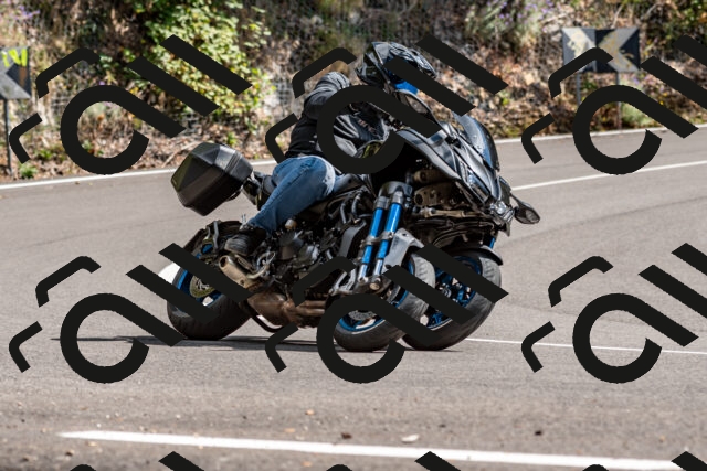 202508311454-_DSC7322_d2_