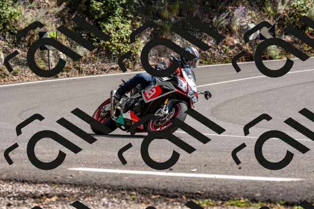 202508311454-_DSC7323_d2_