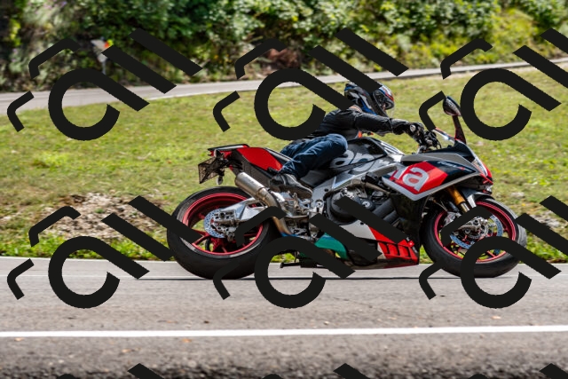 202508311454-_DSC7325_d2_