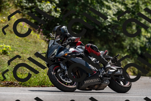 202508311456-_DSC7331_d2_