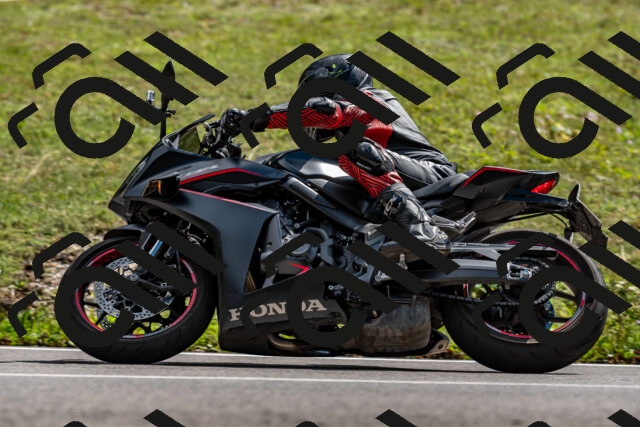 202508311456-_DSC7332_d2_