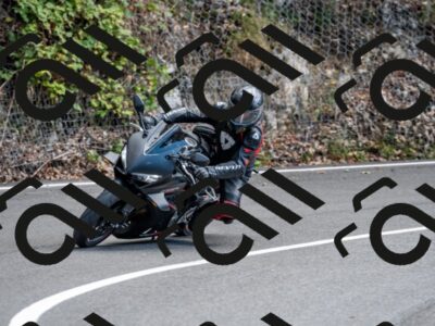 202508311503-_DSC7334_d2_