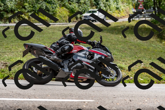 202508311504-_DSC7341_d2_