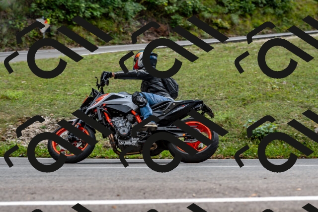 202508311507-_DSC7362_d2_