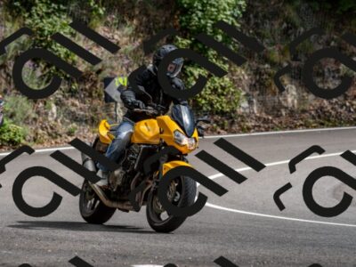 202508311507-_DSC7365_d2_