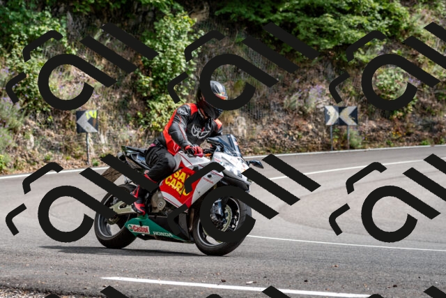 202508311507-_DSC7367_d2_