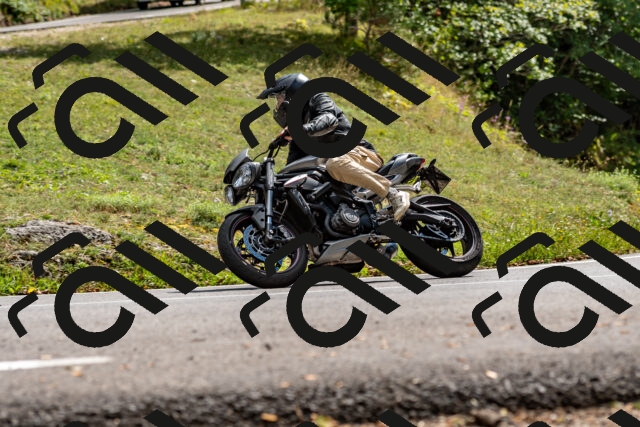 202508311511-_DSC7374_d2_